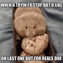 Image result for Little Hamster Meme