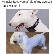 Image result for Protection Doggo Meme