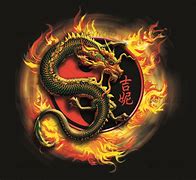 Image result for Martial Arts Logo Dragon