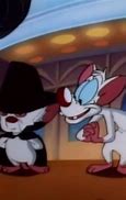 Image result for Pinky and the Brain Characters