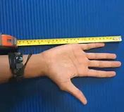 Image result for How Big Is 6 7 Inches Phone