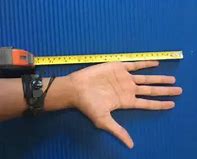 Image result for Eight Inches in and Out