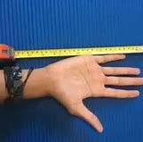 Image result for How Big Is 8 Inches Guy
