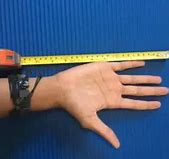 Image result for How Big Is 8 Inch