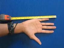 Image result for How Big Is 8 Inches Guy