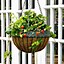 Image result for DIY Hanging Baskets
