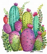 Image result for Cactus Watercolor Backdrop