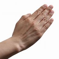 Image result for Finger PNG