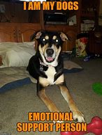 Image result for My Emotional Support Dog Meme