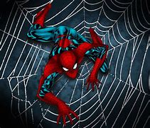 Image result for Spider-Man Web