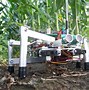 Image result for Strawberry Picking Robot
