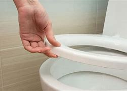 Image result for Toilet Seat Up