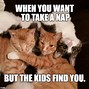 Image result for Sassy Cat Funny