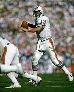 Image result for Dan Marino Dolphins Back