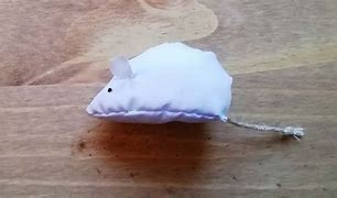 Image result for Homemade Pet Mouse Toy