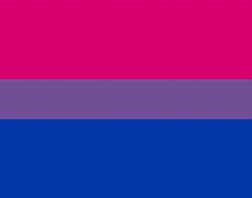 Image result for bisexuql