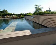 Image result for Back Wood Swimming