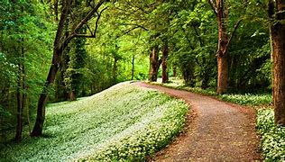 Image result for path