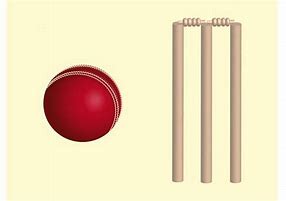 Image result for Cricket Graphics