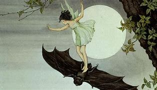 Image result for Sleeping Bat Fairy