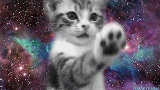Image result for Trippy Galaxy and Weed Cat