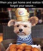 Image result for Crazy Funny Dog Memes