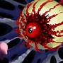 Image result for Kirby Dark Matter Kirby Star Allies