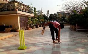 Image result for Cricket Between V Rooftop