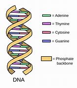 Image result for Evolv DNA Wallpaper