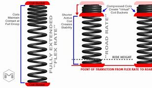 Image result for Short Small Coil Springs