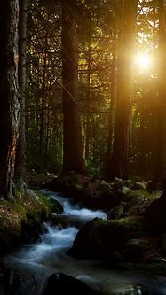 Image result for Amazing Nature Wallpaper iPhone