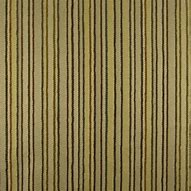 Image result for Gold Stripe