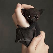 Image result for Bat Stuff Toy