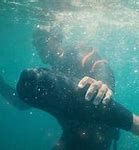 Image result for Ocean Swimming
