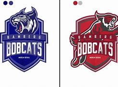 Image result for Custom Profeshonial American Football Logos