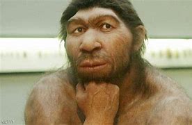 Image result for Humans 65 Million Years Ago