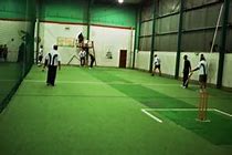 Image result for Action Cricket Arena