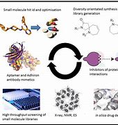 Image result for Early Drug Discovery