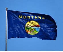 Image result for Montana State Flag