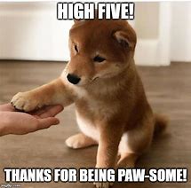 Image result for Animal High Five Meme