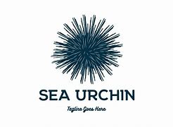 Image result for Sea Urchin Logo