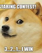Image result for Win Doge Meme