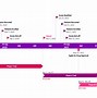 Image result for Microsoft Project Timeline Fiscal Year