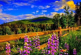 Image result for Windows Desktop Backgrounds Spring