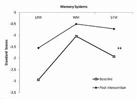Image result for Long Term Memory