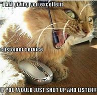 Image result for Call Center Cat Meme