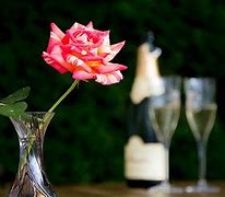 Image result for Pink Champagne Glass