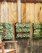 Image result for Living Plant Walls Planters