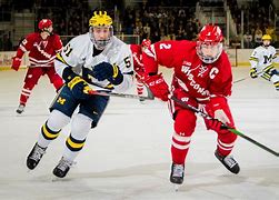 Image result for Michigan Hockey