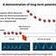 Image result for Cellular Mechanisms Memory